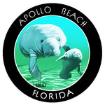 Apollo Beach Florida 3.5" Die Cut Auto Window Decal