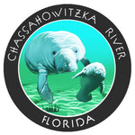 Chassahowitzka River Florida 3.5" Die Cut Auto Window Decal