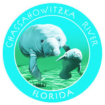 Chassahowitzka River Florida 3.5" Die Cut Auto Window Decal