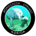 Homosassa Springs Florida 3.5" Die Cut Auto Window Decal