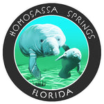 Homosassa Springs Florida 3.5" Die Cut Auto Window Decal