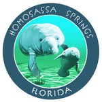 Homosassa Springs Florida 3.5" Die Cut Auto Window Decal