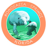 Homosassa Springs Florida 3.5" Die Cut Auto Window Decal