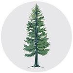 Pinetree 3.5" Die Cut Window Decal