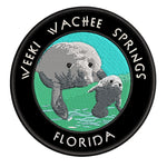 Weeki Wachee Springs Florida 3.5" Embroidered Iron or Sew-on Patch