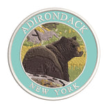 Explore Adirondacks Mountains New York 3.5" Embroidered Patch Iron Sew-on National Park Explorer Series